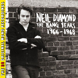 Cover of The Bang Years 1966-1968 (The 23 Original Mono Recordings)