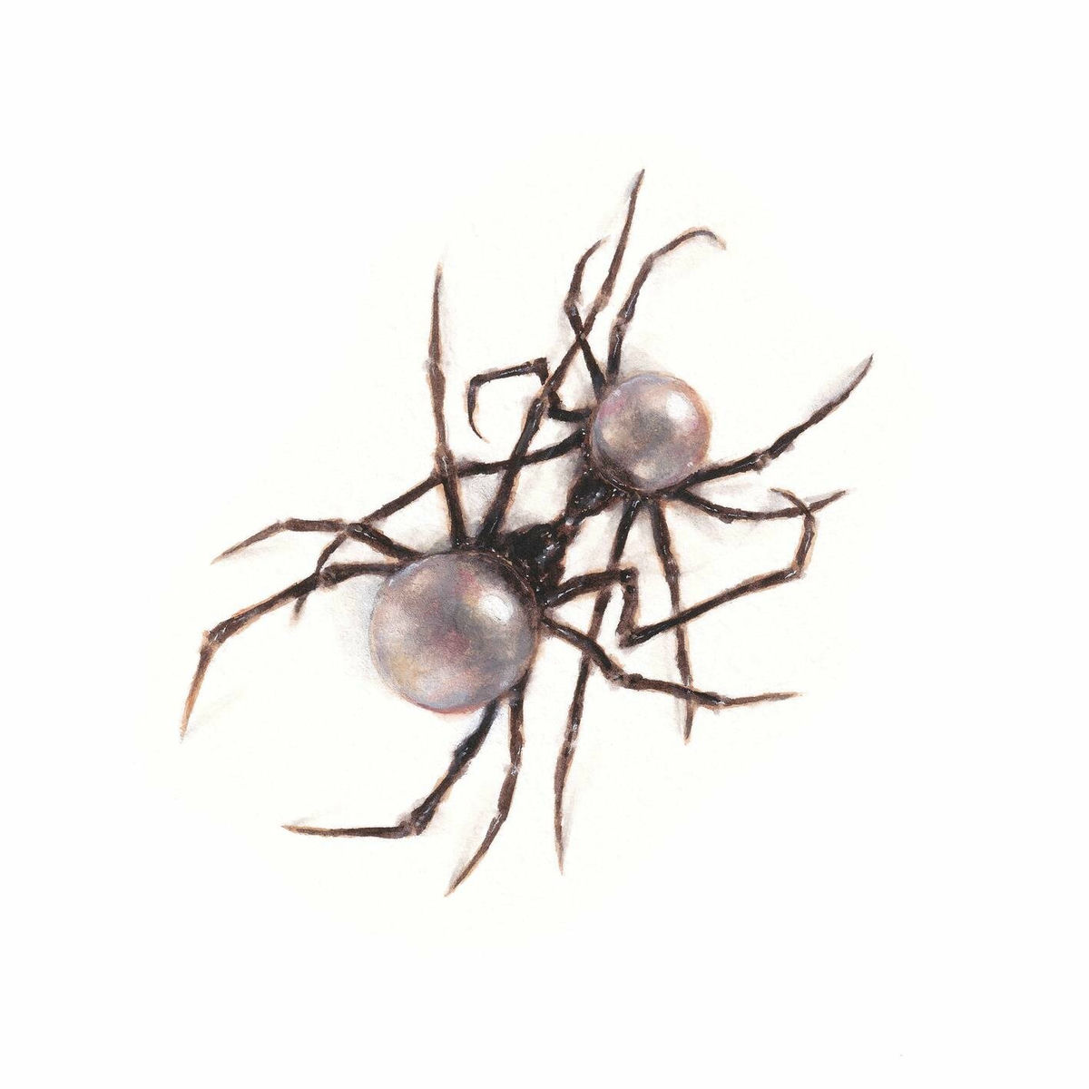 Album picture of Scarlet