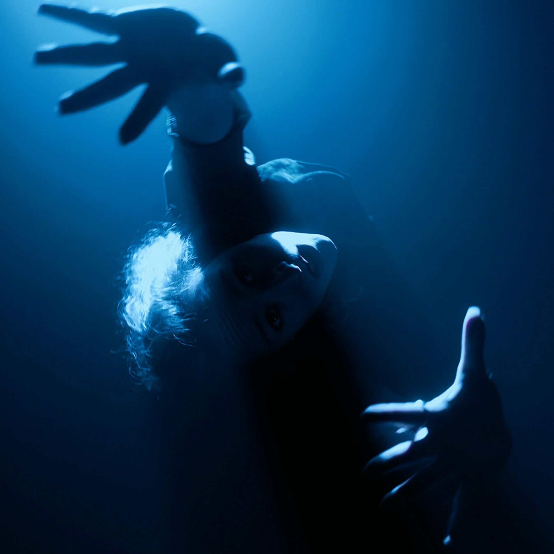 Album cover of Cauchemar