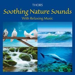 Cover of Soothing Nature Sounds with Relaxing Music