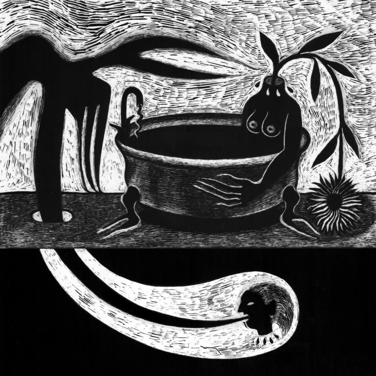 Album cover of Brace