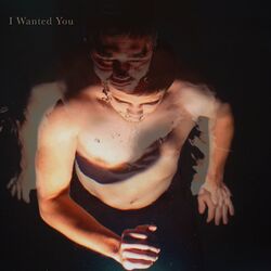 Cover of I Wanted You