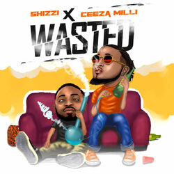 Cover of Wasted