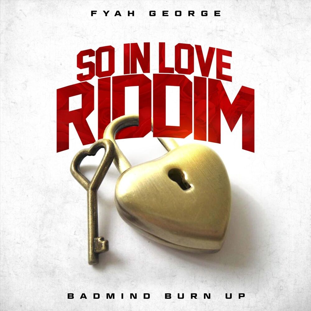 Picture of Badmind Burn Up (So in Love Riddim)
