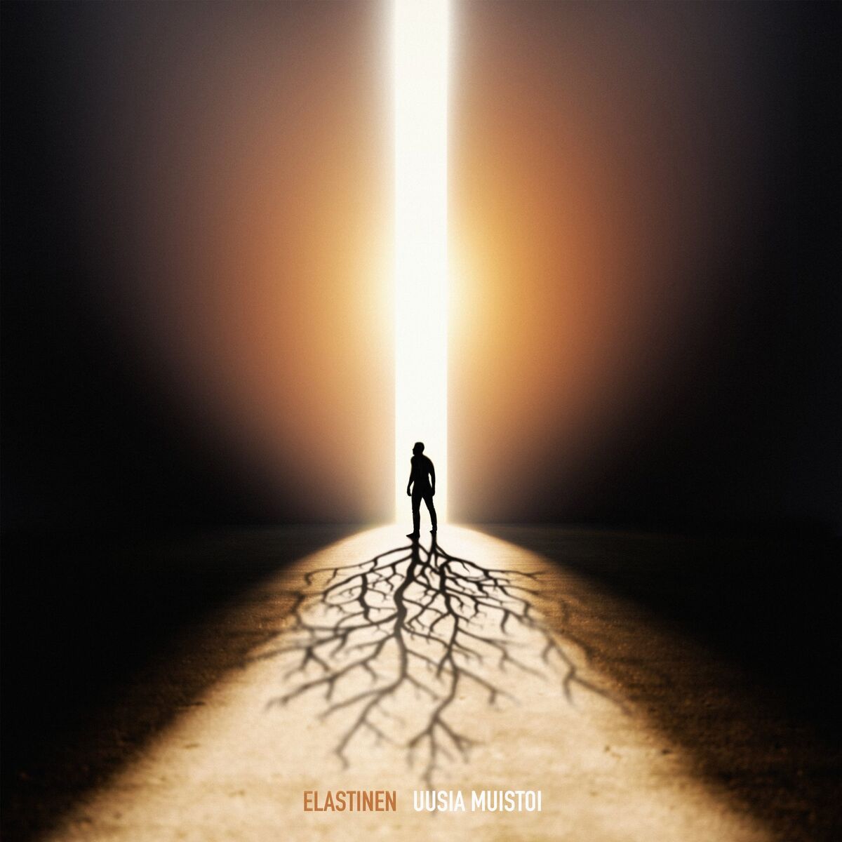 Album cover of Uusia Muistoi