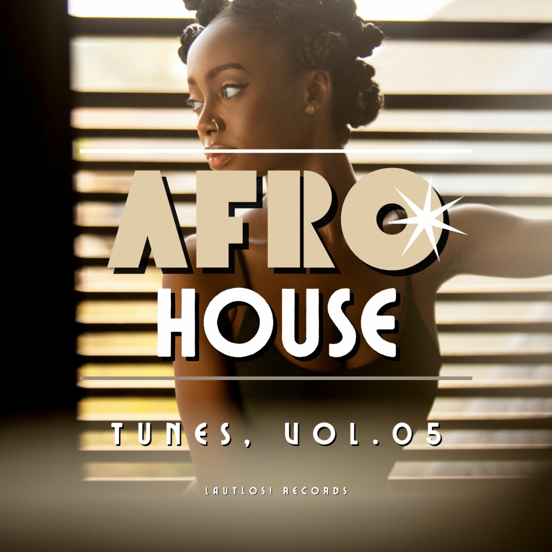 Album cover of Afro House Tunes, Vol. 05
