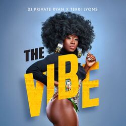 Cover of The Vibe