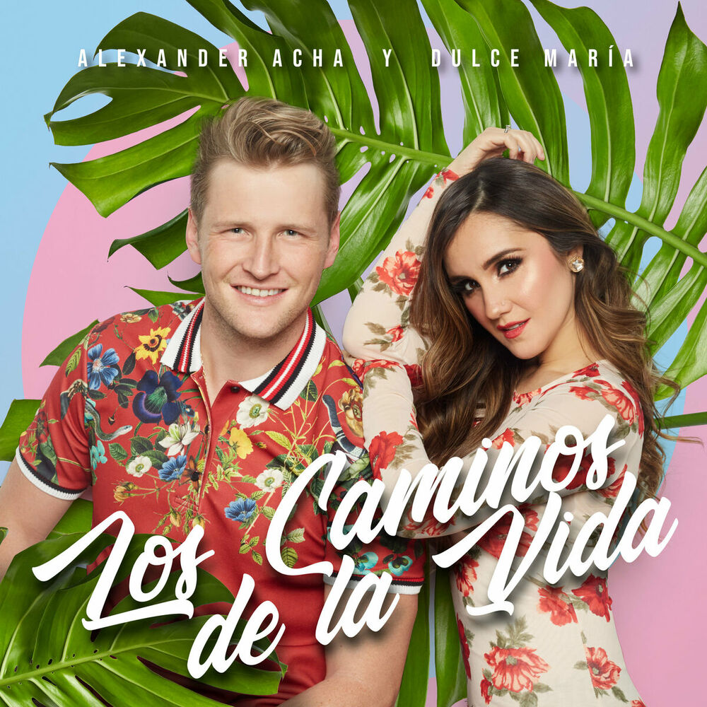 Picture of Los Caminos de la Vida