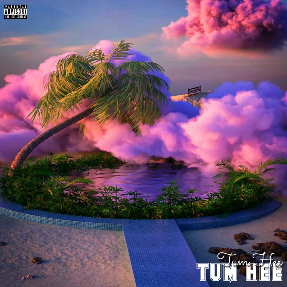 Picture of Tum Hee (feat. Aleey Khan & Enim)