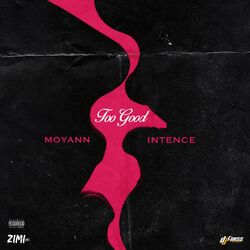 Cover of Too Good