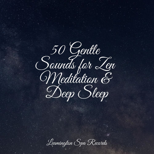 50 Gentle Sounds for Zen Meditation & Deep Sleep - Calming Sounds | Deezer
