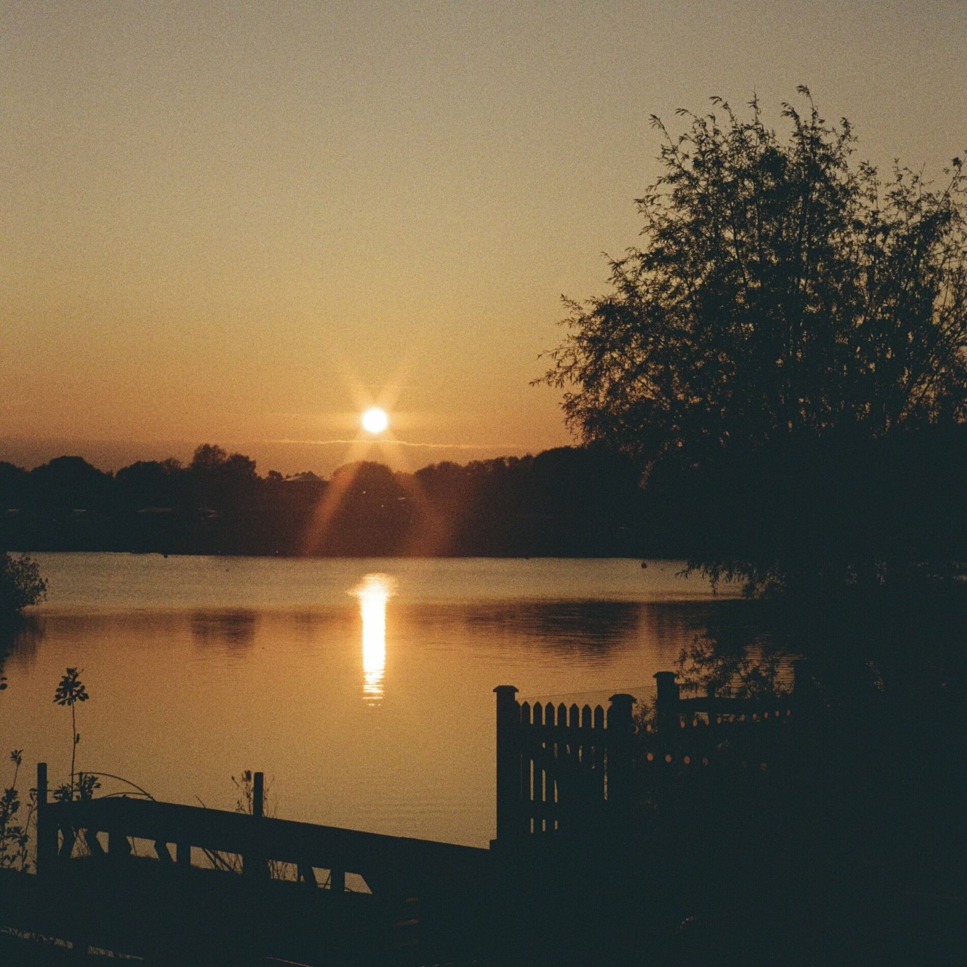 Album cover of Flova
