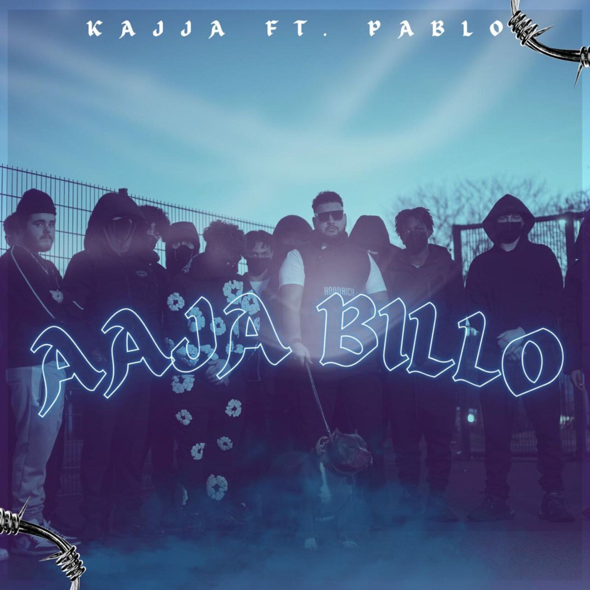 Album cover of Aaja Billo