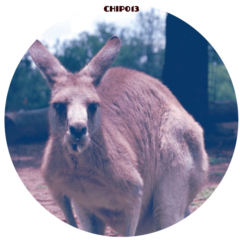 Picture of Skippy Ep