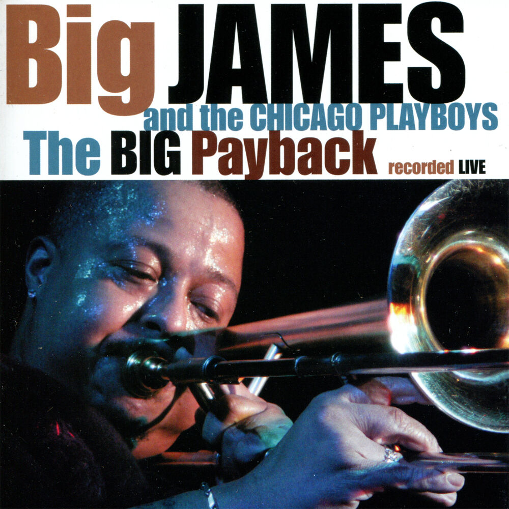 Picture of The Big Payback