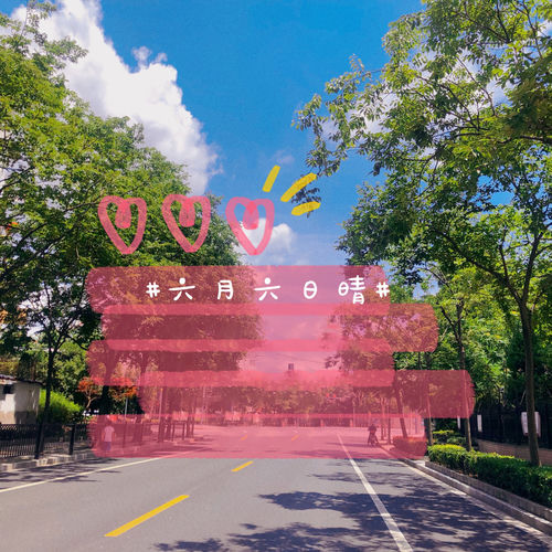 六月六日晴