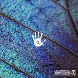 Cover of Butterfly Effect