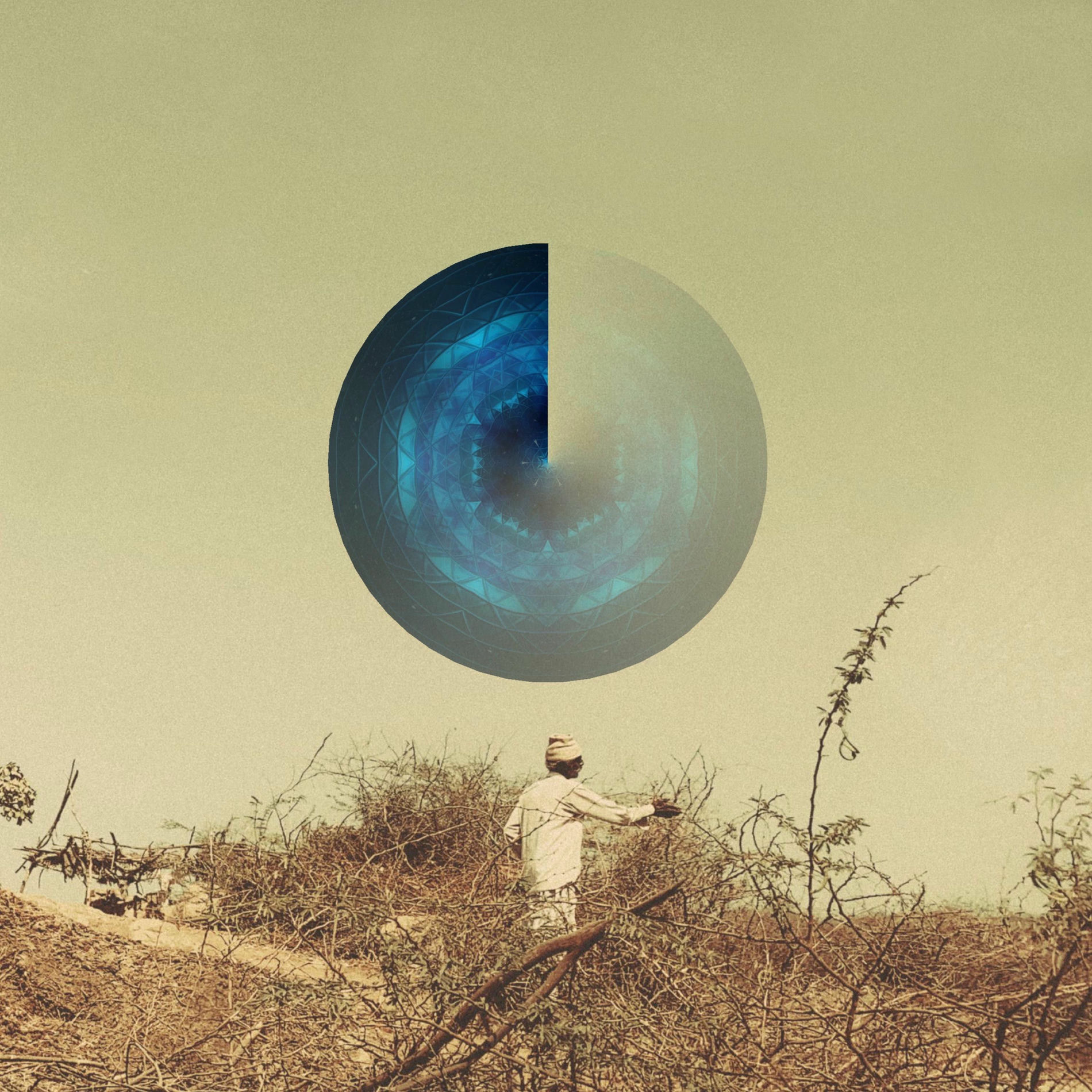 Album cover of Sentient Duality