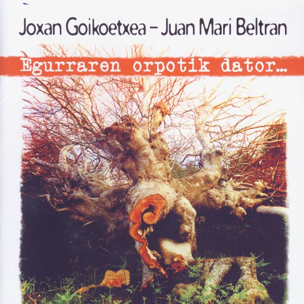 Picture of Egurraren Orpotik Dator