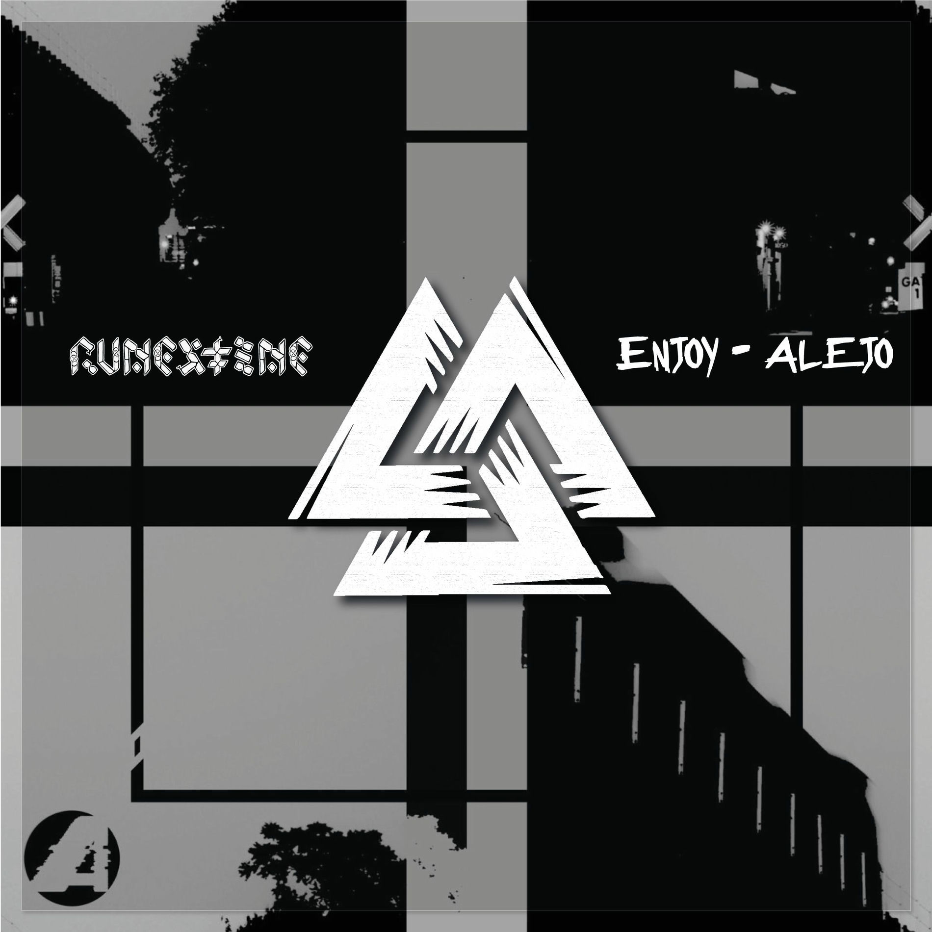 Album cover of Enjoy (Remix)