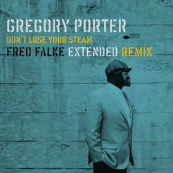 Cover of Don't Lose Your Steam (Fred Falke Extended Remix)
