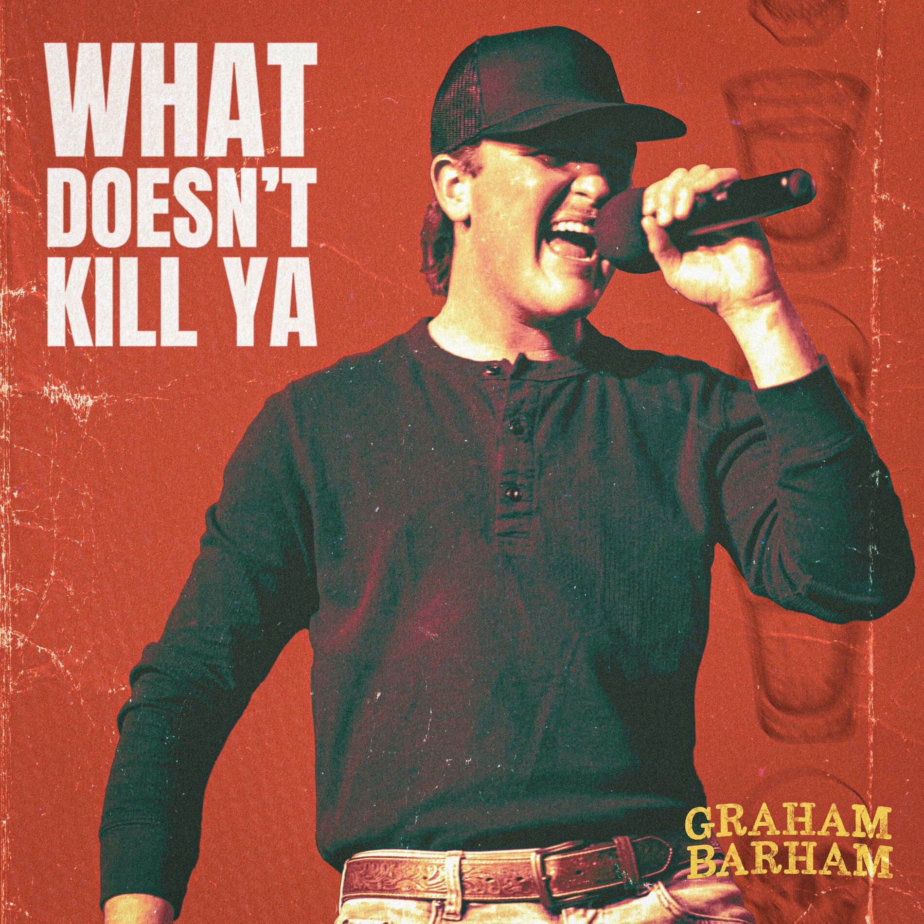Album cover of WHAT DOESN'T KILL YA