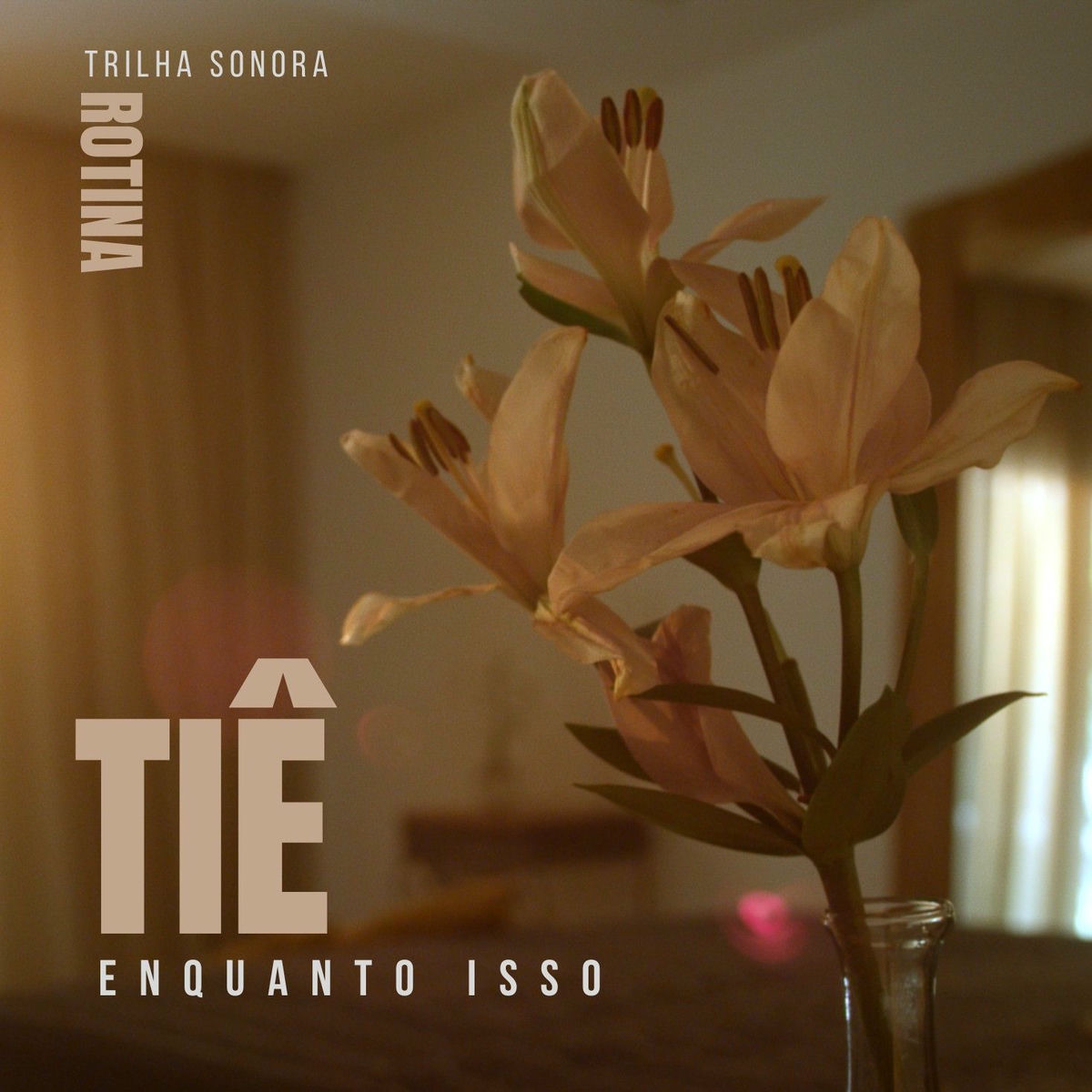Album cover of Enquanto Isso