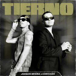 Cover of Tierno