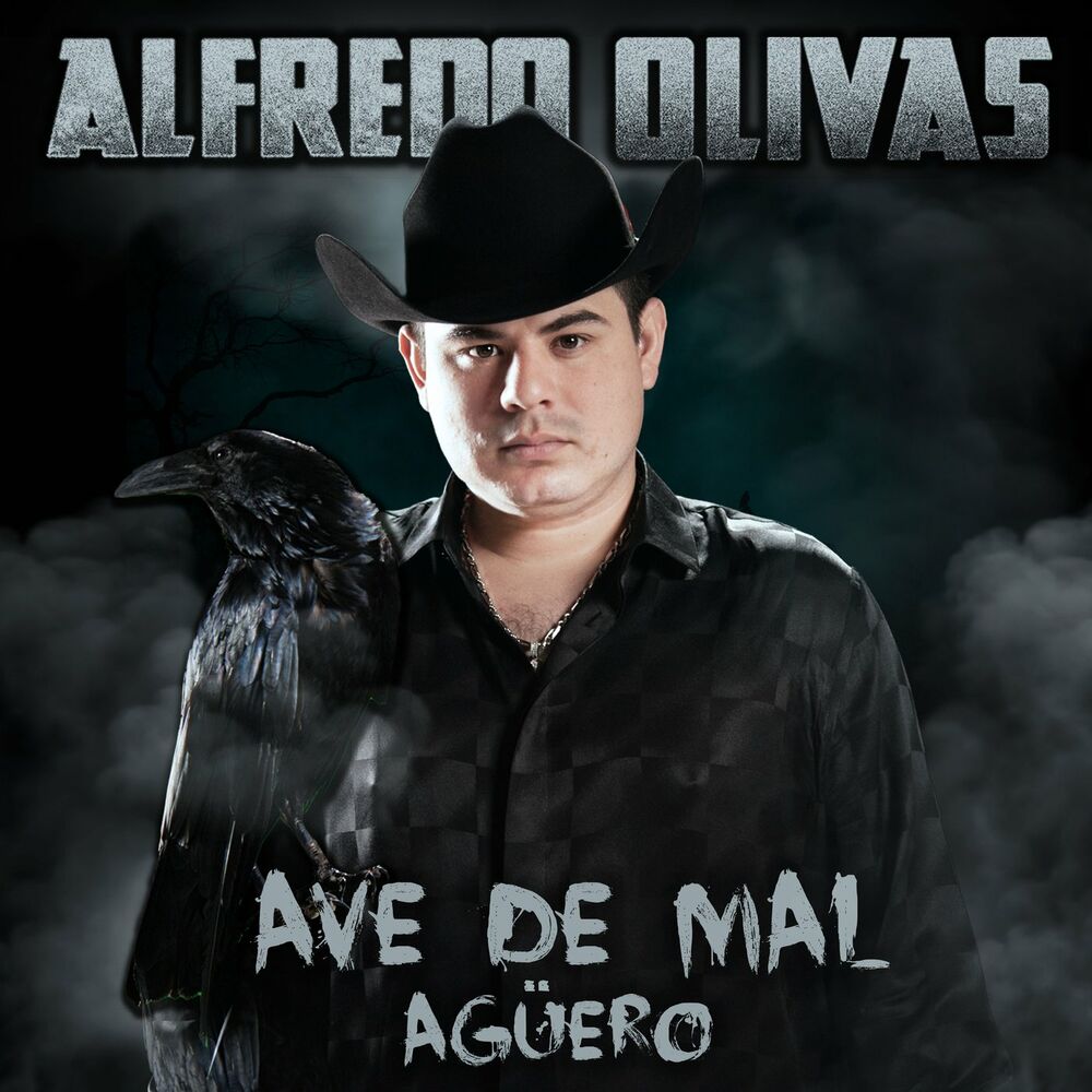 Picture of Ave De Mal Agüero