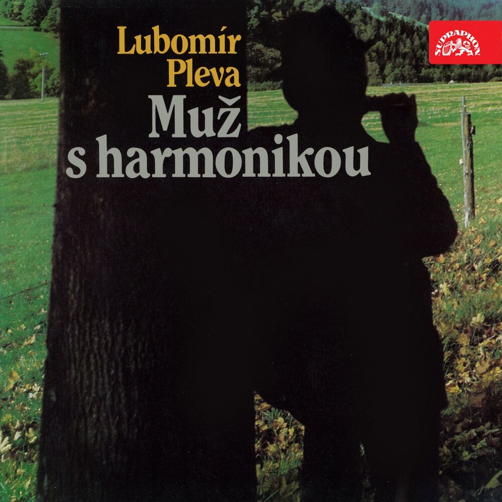 Picture of Muž S Harmonikou