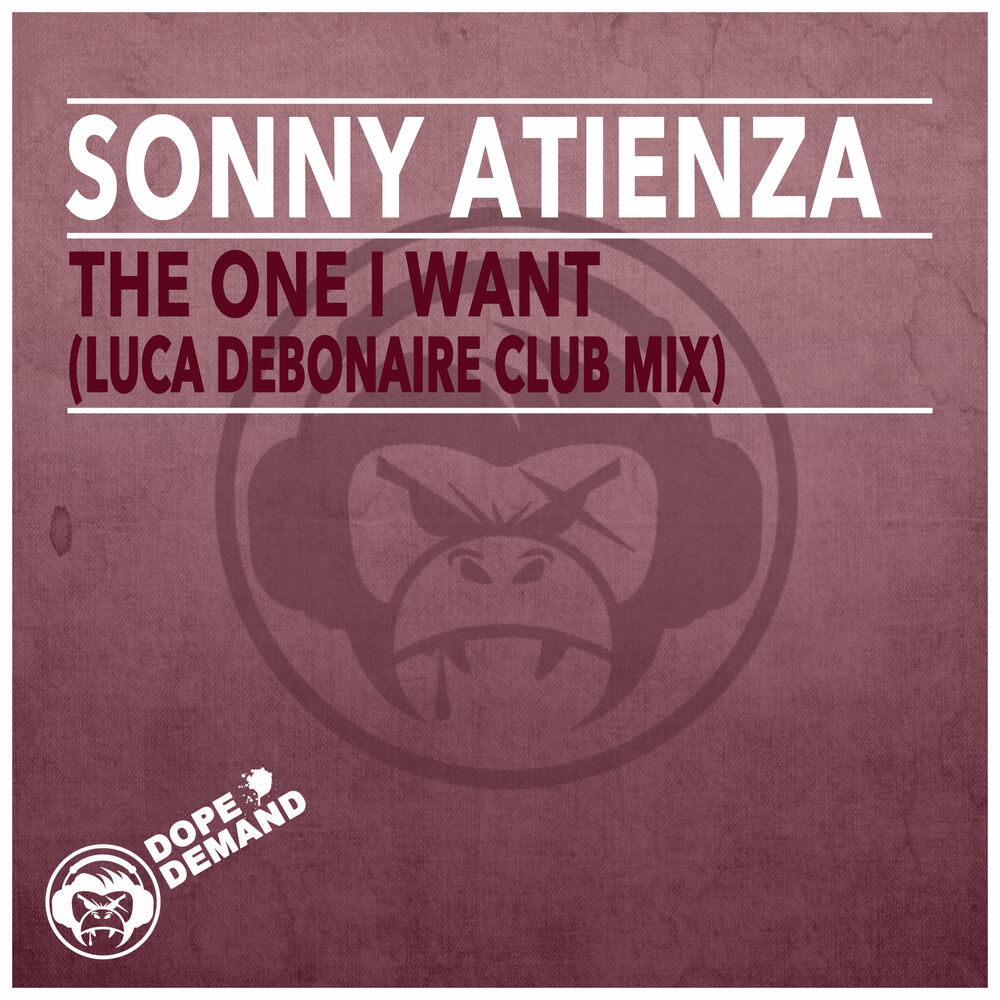 Picture of The One I Want (Luca Debonaire Club Mix)