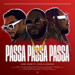Cover of PASSA PASSA PASSA