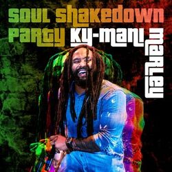 Cover of Soul Shakedown Party