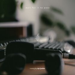 Cover of Wait For It To Pass