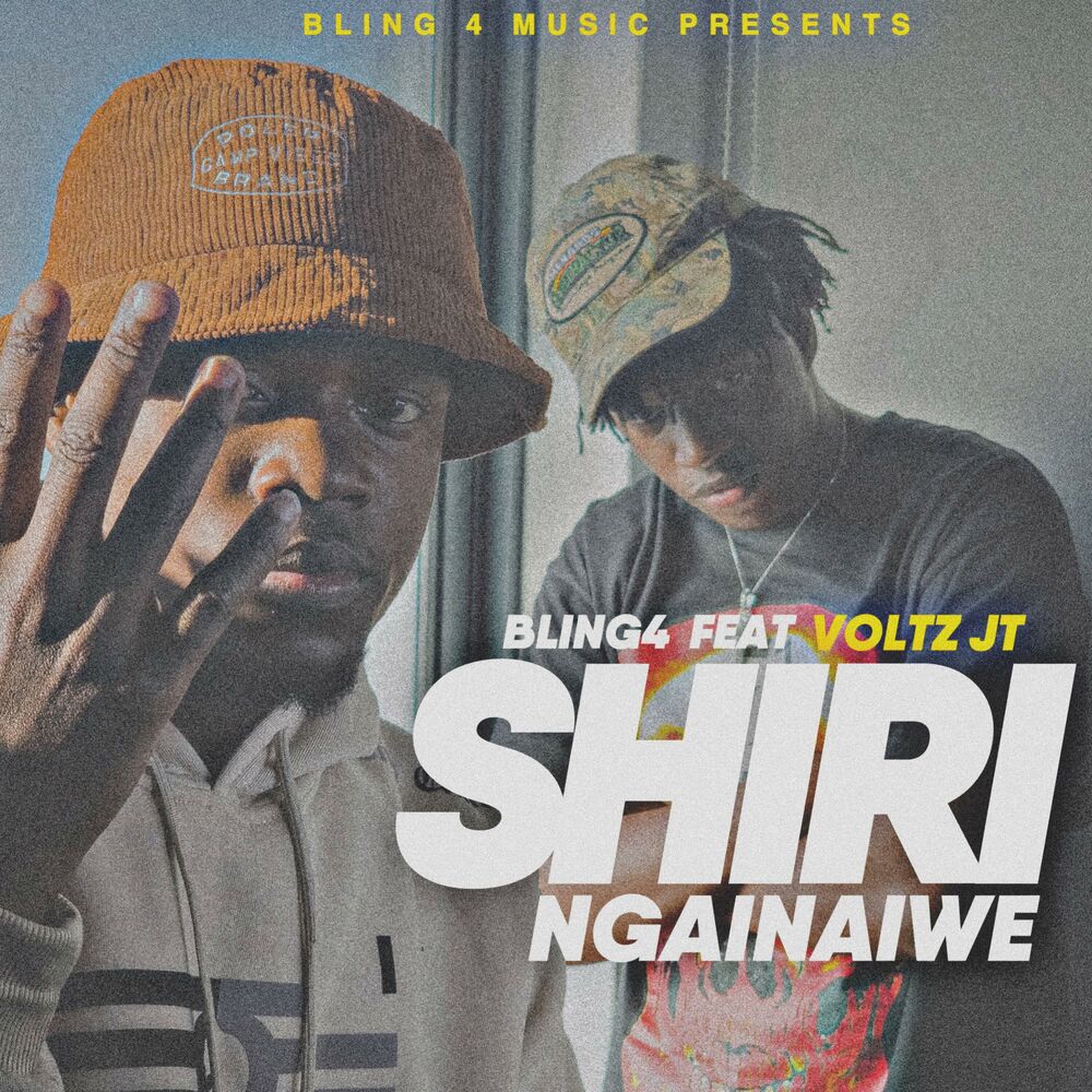Picture of Shirî Ngainaiwe (feat. Voltz JT)