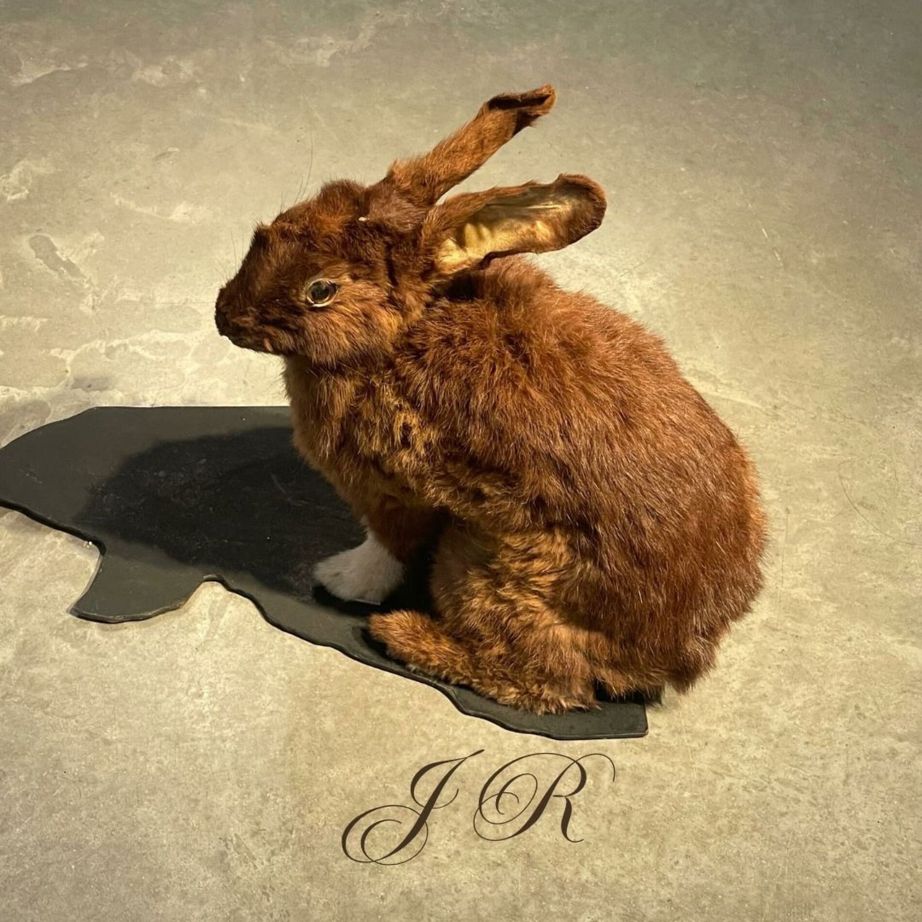Album cover of J R