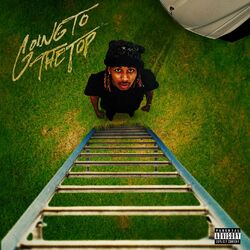 Cover of Going To The Top