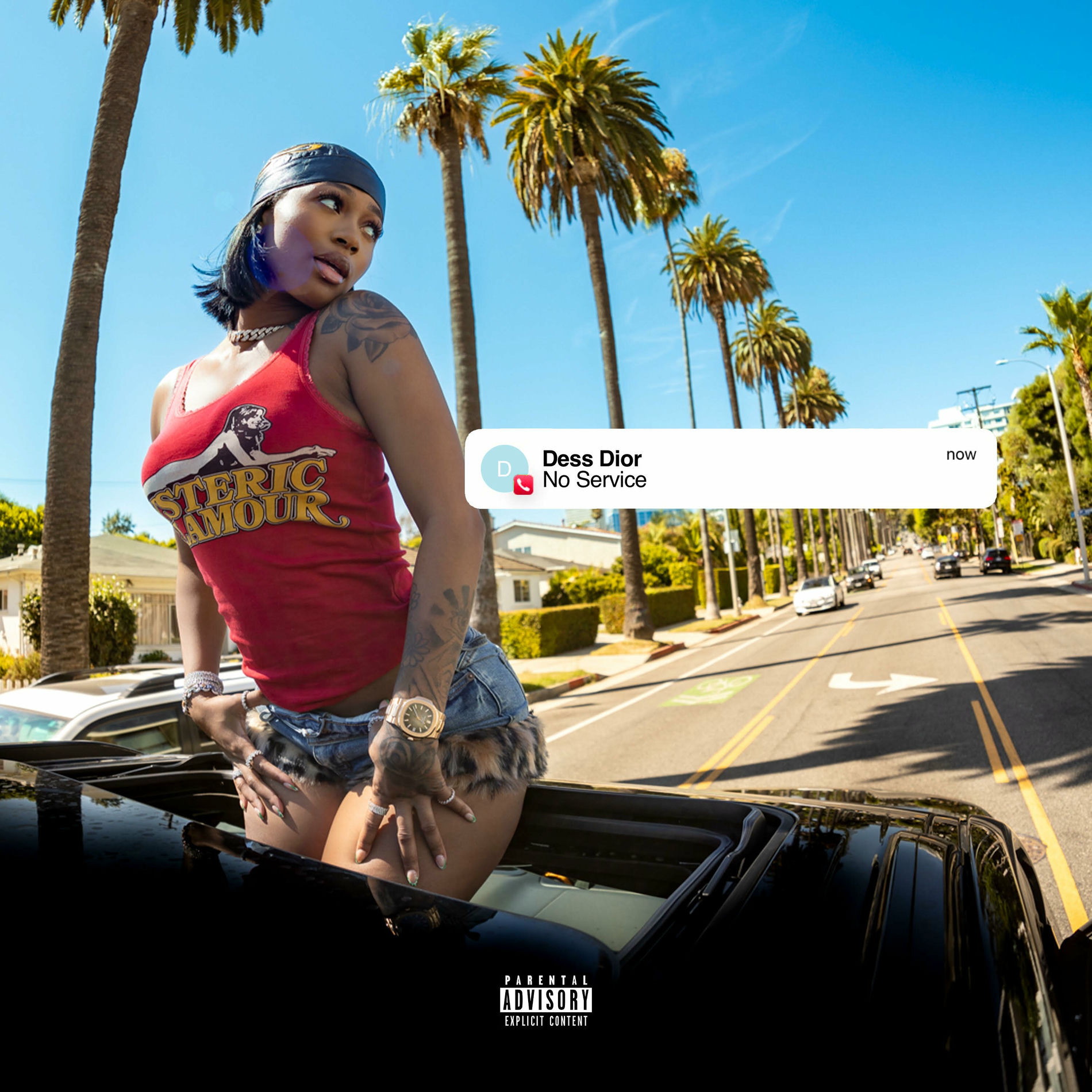 Album cover of No Service