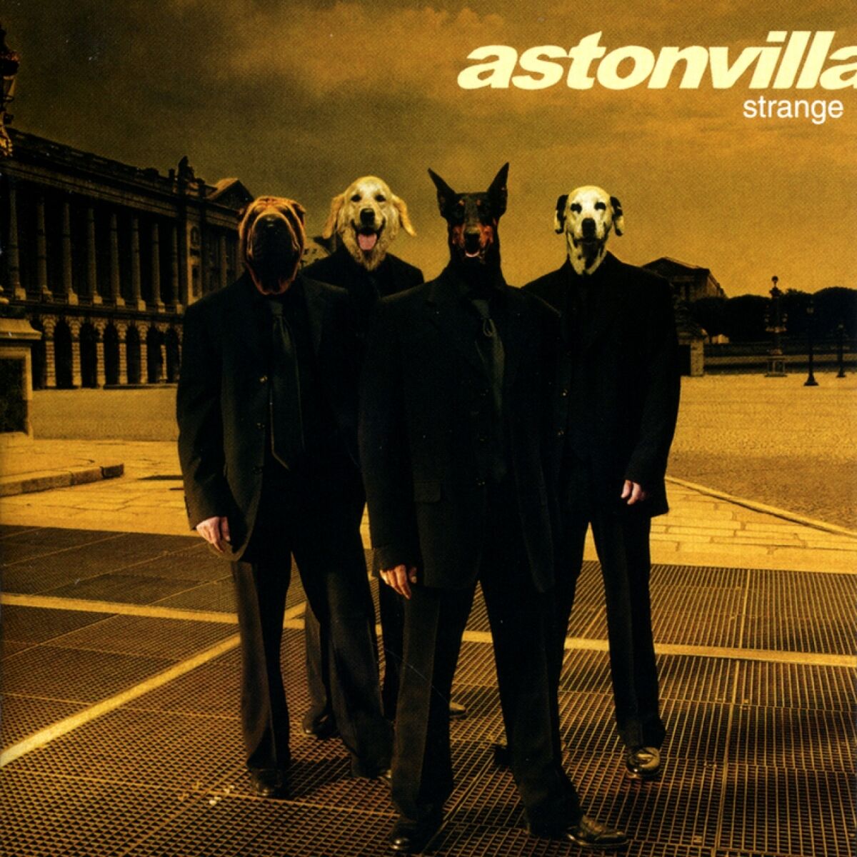 Album cover of Strange