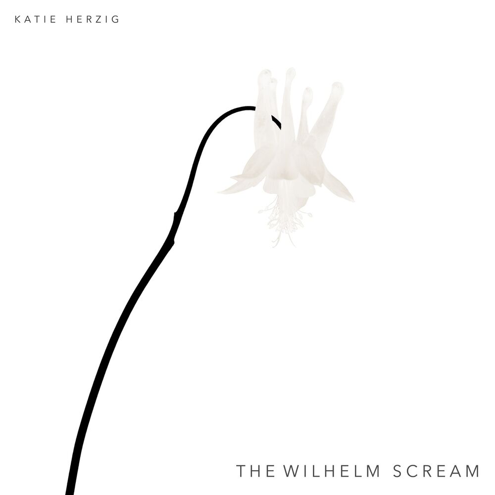 Picture of The Wilhelm Scream