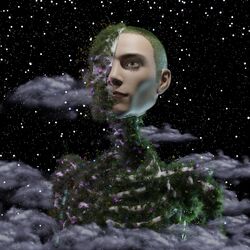 Cover of Starlight