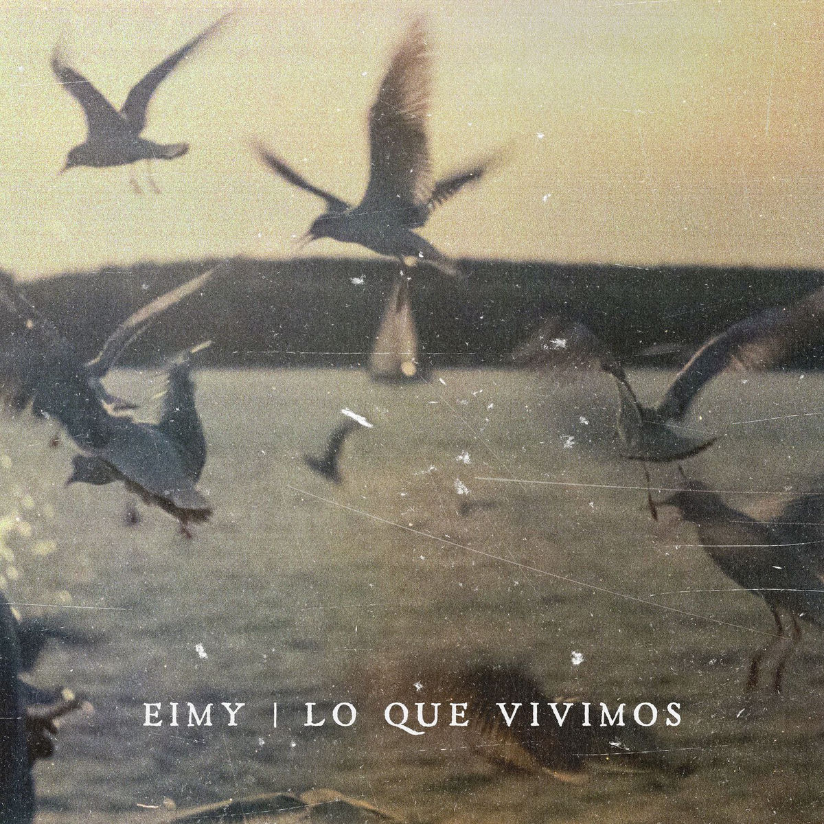 Eimy: álbumes, canciones y conciertos | Deezer