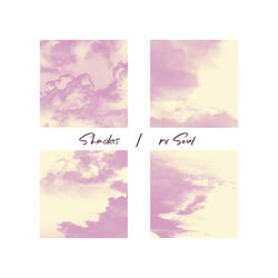 Cover of Shades