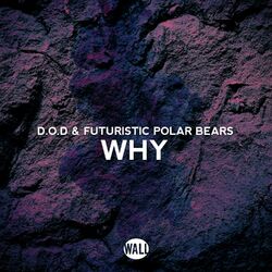 Cover of Why