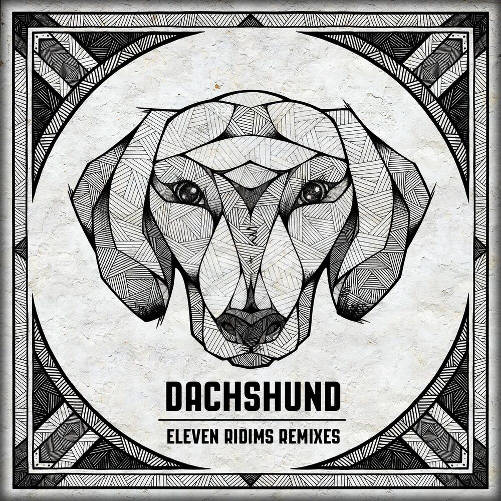 Picture of Eleven Ridims Remixes