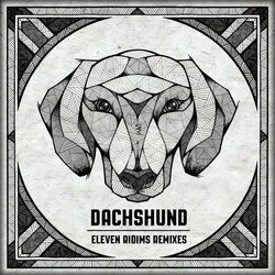 Cover of Eleven Ridims Remixes
