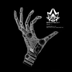 Cover of Forever V.I.P. / Breathe