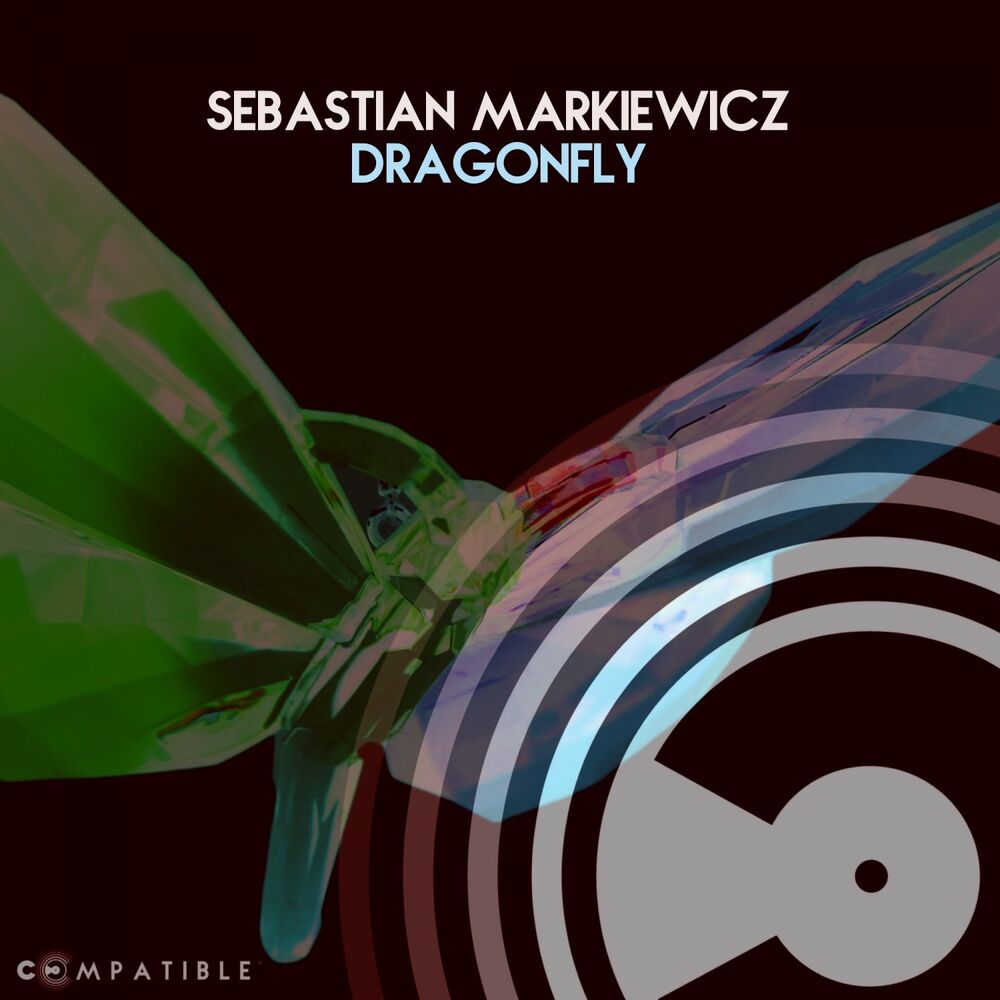 Picture of Dragonfly