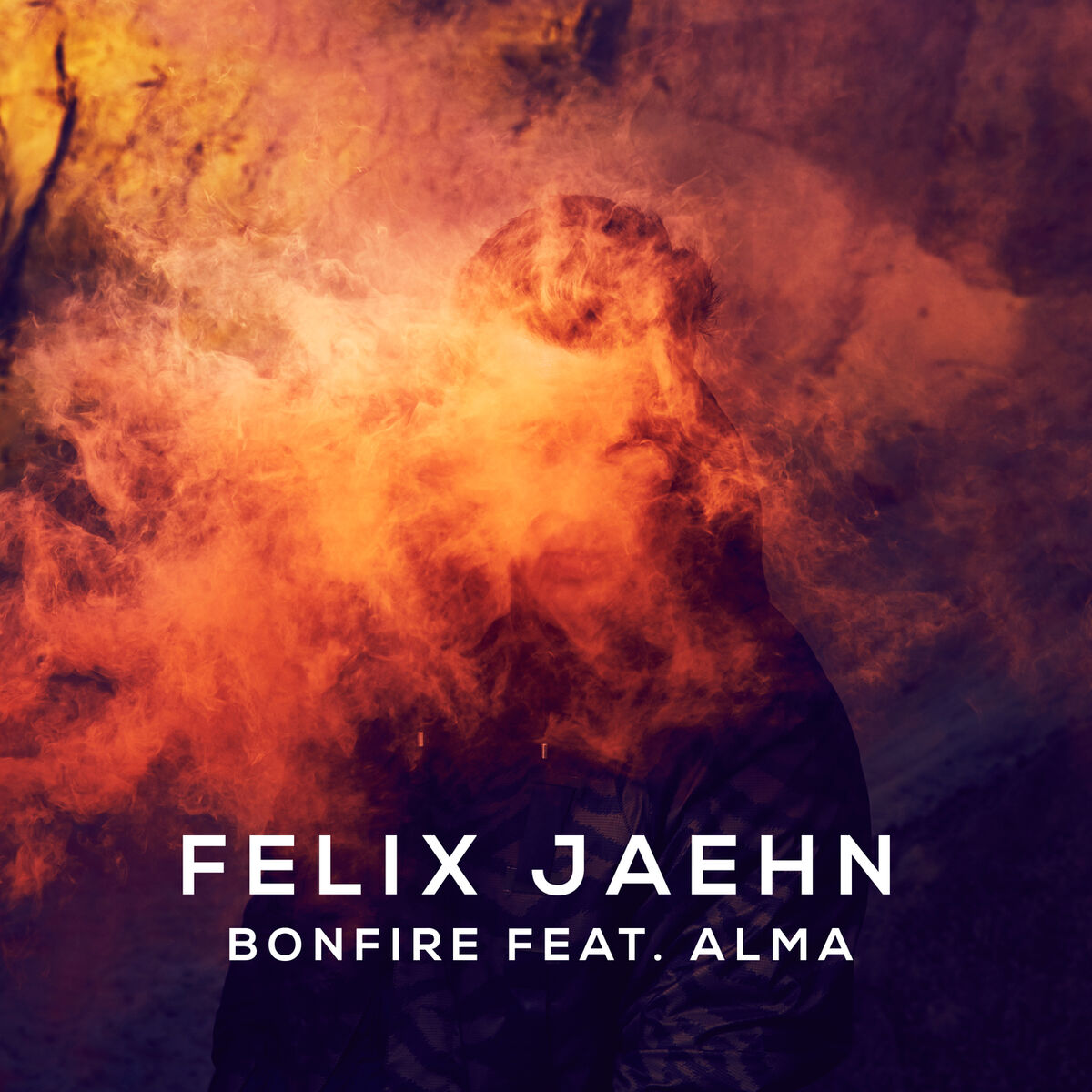 Album cover of Bonfire