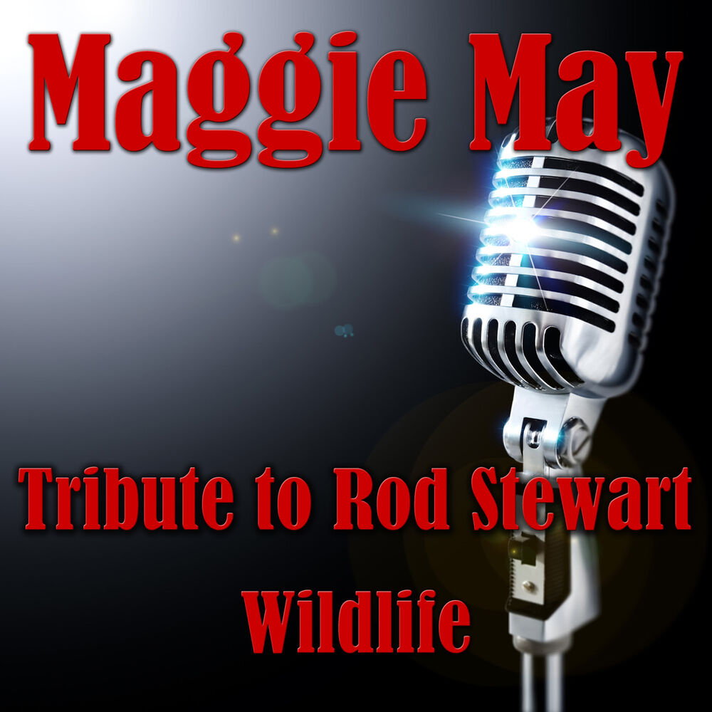 Picture of Maggie May- Tribute To Rod Stewart